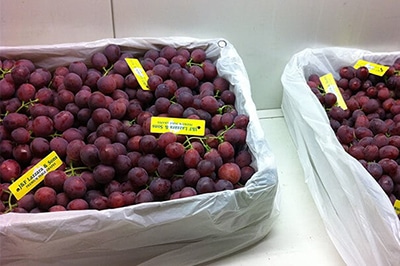 red seedless table grapes